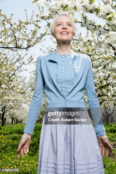 senior woman stands between blossoming cherry trees - gutaussehend 個照片及圖片檔