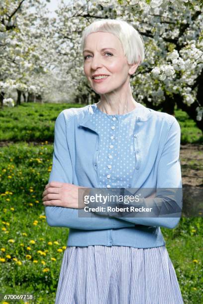senior woman stands between blossoming cherry trees - kirschblüte - fotografias e filmes do acervo