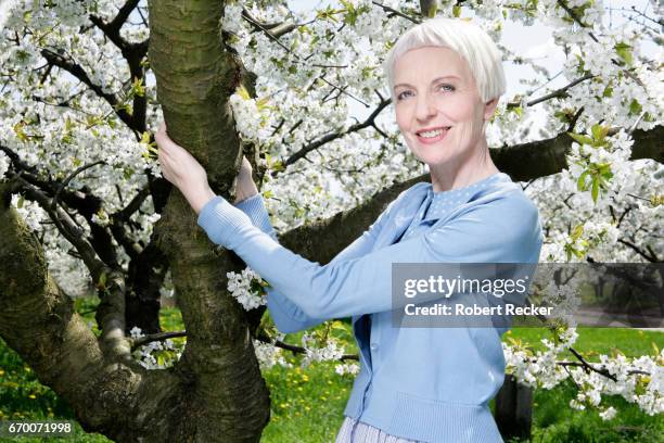 senior woman stands between blossoming cherry trees - gutaussehend fotografías e imágenes de stock