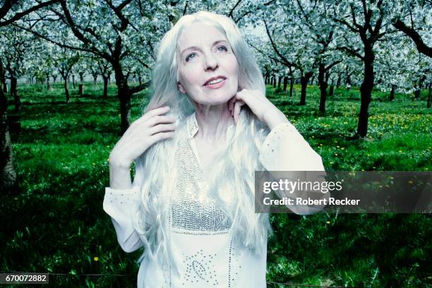 senior woman stands between blossoming cherry trees - traumartig 個照片及圖片檔