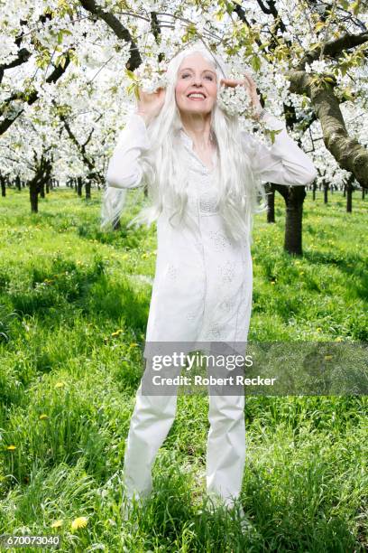 senior woman stands between blossoming cherry trees - jung geblieben bildbanksfoton och bilder