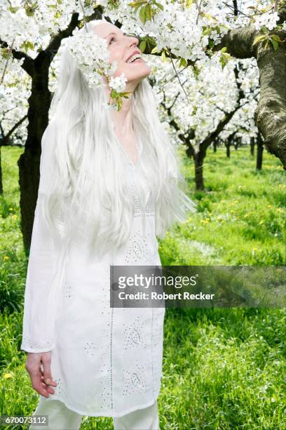 senior woman stands between blossoming cherry trees - sorglos imagens e fotografias de stock