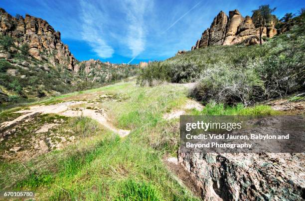 on the bear gulch trail at pinnacles national park - bear gulch stock pictures, royalty-free photos & images