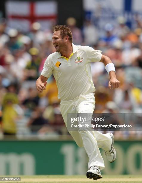 Australia's Ryan Harris celebrates dismissing Alastair Cook during the 3rd Ashes cricket Test match between Australia and England at the WACA cricket...