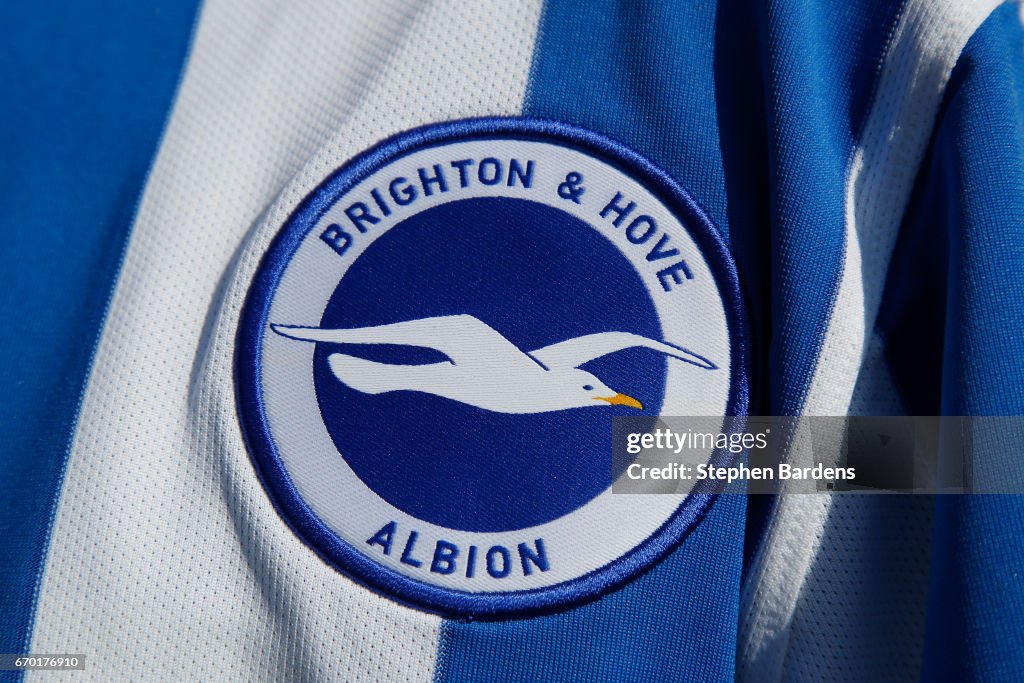 Brighton & Hove Albion Fan Paints House to Celebrate Promotion to the Premier League