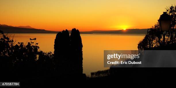 the lake of the four cantons - alpes suisses 個照片及圖片檔