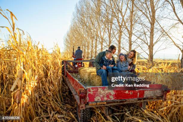 family hayride - hayride stock pictures, royalty-free photos & images