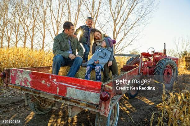 family hayride - hayride stock pictures, royalty-free photos & images