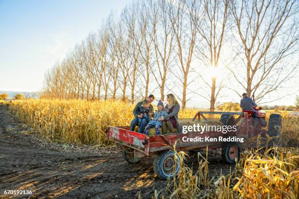 family hayride - hayride stock pictures, royalty-free photos & images