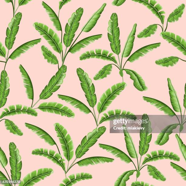 tropical leaves seamless pattern - banana tree leaf stock illustrations