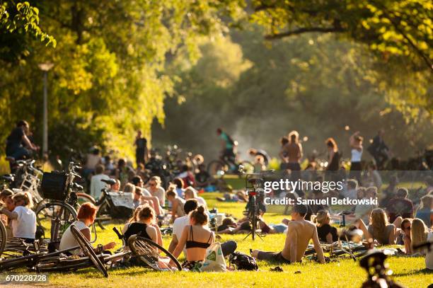 ontspannen aan het vondelpark - vondelpark stockfoto's en -beelden