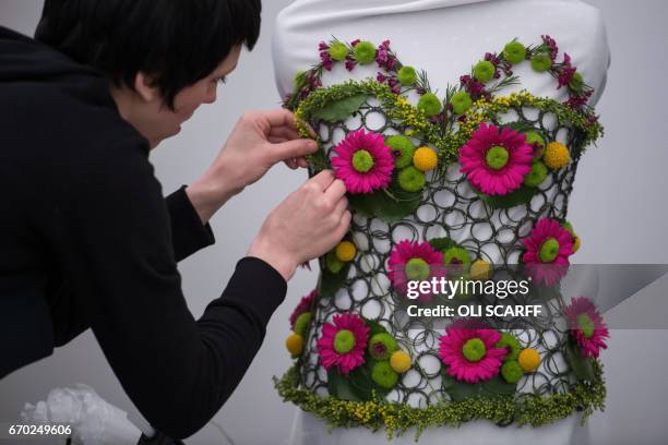An exhibitor constructs a floral display in the shape of a corset on the eve of the opening day of the Harrogate Spring Flower Show at the Great...