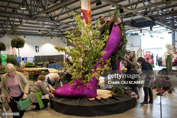 Exhibitors construct a floral display in the shape of a giant high heel shoe on the eve of the opening day of the Harrogate Spring Flower Show at the...