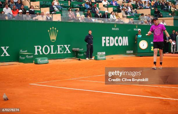 Kyle Edmund of Great Britain trys to scare the pigeon off the court during his three set defeat by Rafael Nadal of Spain in his second round match on...