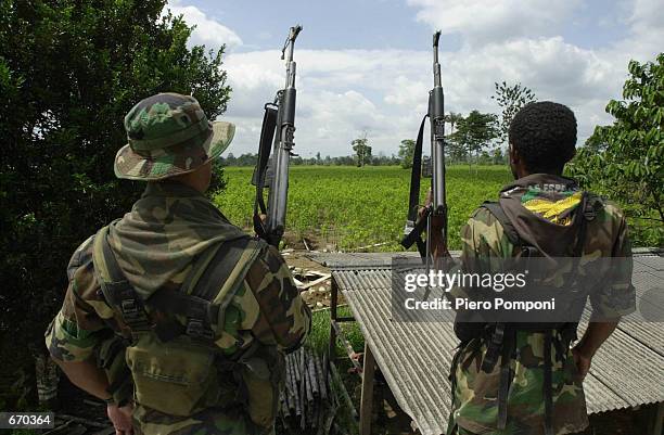Two members of the AUC, the United Self Defense Force of Colombia, the extreme right paramilitary group, patrol a coca leaf plantation where a manual...