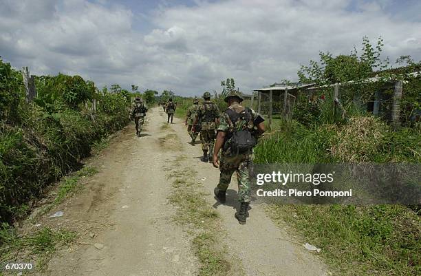 Group of extreme right paramilitaries of the AUC, the United Self Defense Force of Colombia, walk trough a coca leaf plantation January 8, 2001 in...