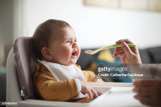 a 6 months old baby girl taking her meal - spoon feeding stockfoto's en -beelden