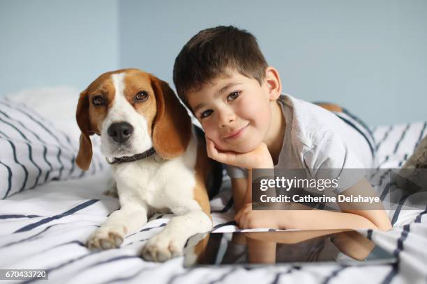 a boy posing with his dog on his bed - tablette numérique stockfoto's en -beelden