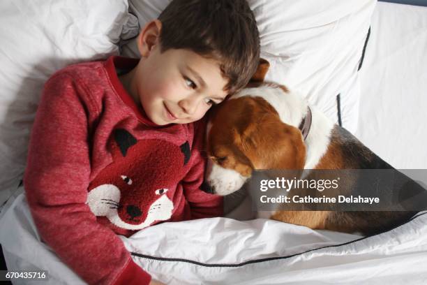 a boy hugging his dog in his bed - affectueux stock pictures, royalty-free photos & images