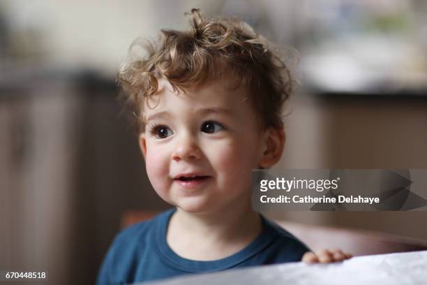 portrait of a 2 years old boy - 2 3 years stock pictures, royalty-free photos & images