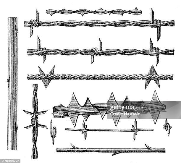 barbed wire - thorn bush stock illustrations