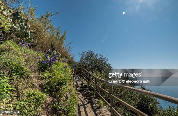 monterosso - sentiero fotografías e imágenes de stock