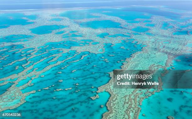 great barrier reef - great barrier reef marine park stockfoto's en -beelden