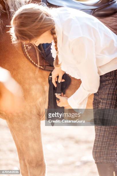 junge frau saddling ihr pferd - festziehen stock-fotos und bilder