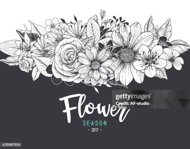 illustrazioni stock, clip art, cartoni animati e icone di tendenza di sfondo fiore - gerbera daisy