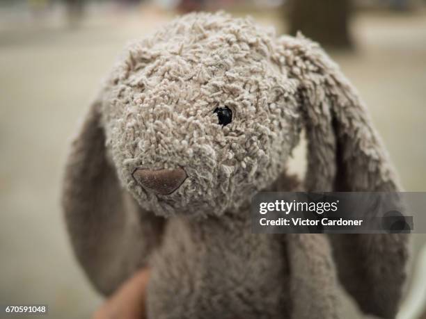 stuffed bunny - lapereau photos et images de collection
