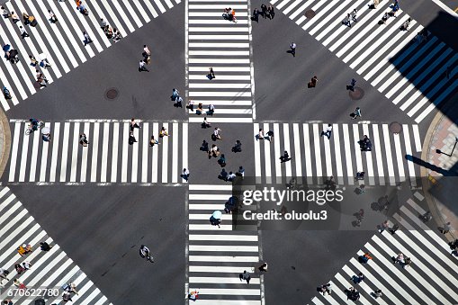 Look At The Crosswalk Of The Scrambled Intersection From Above High-Res ...
