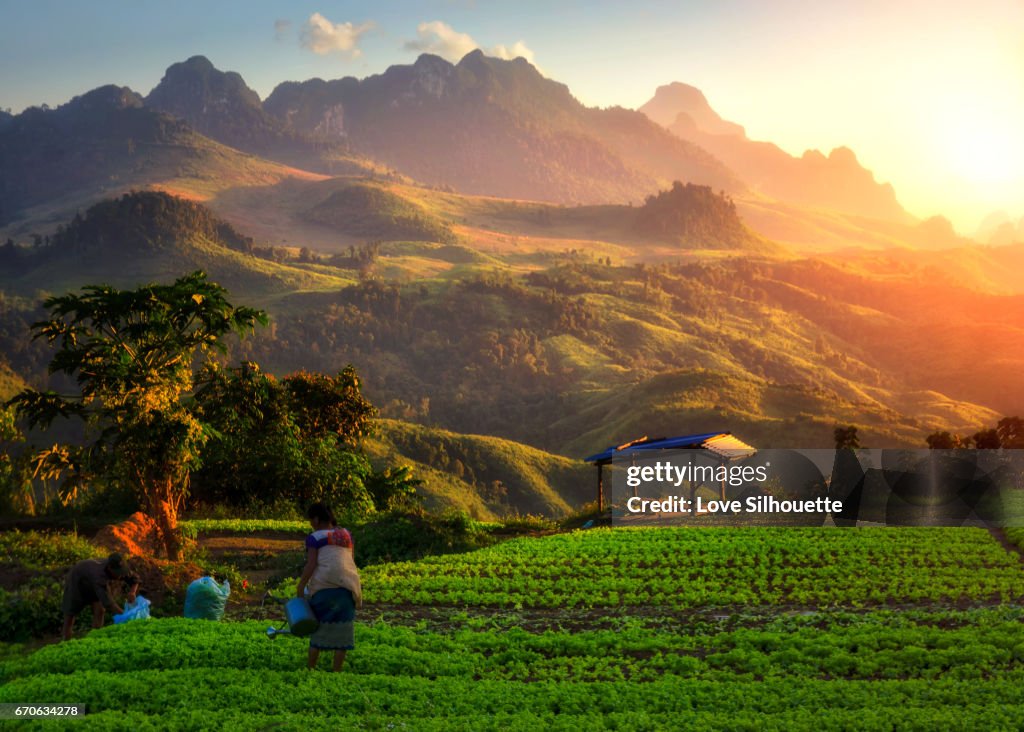 Laos view point