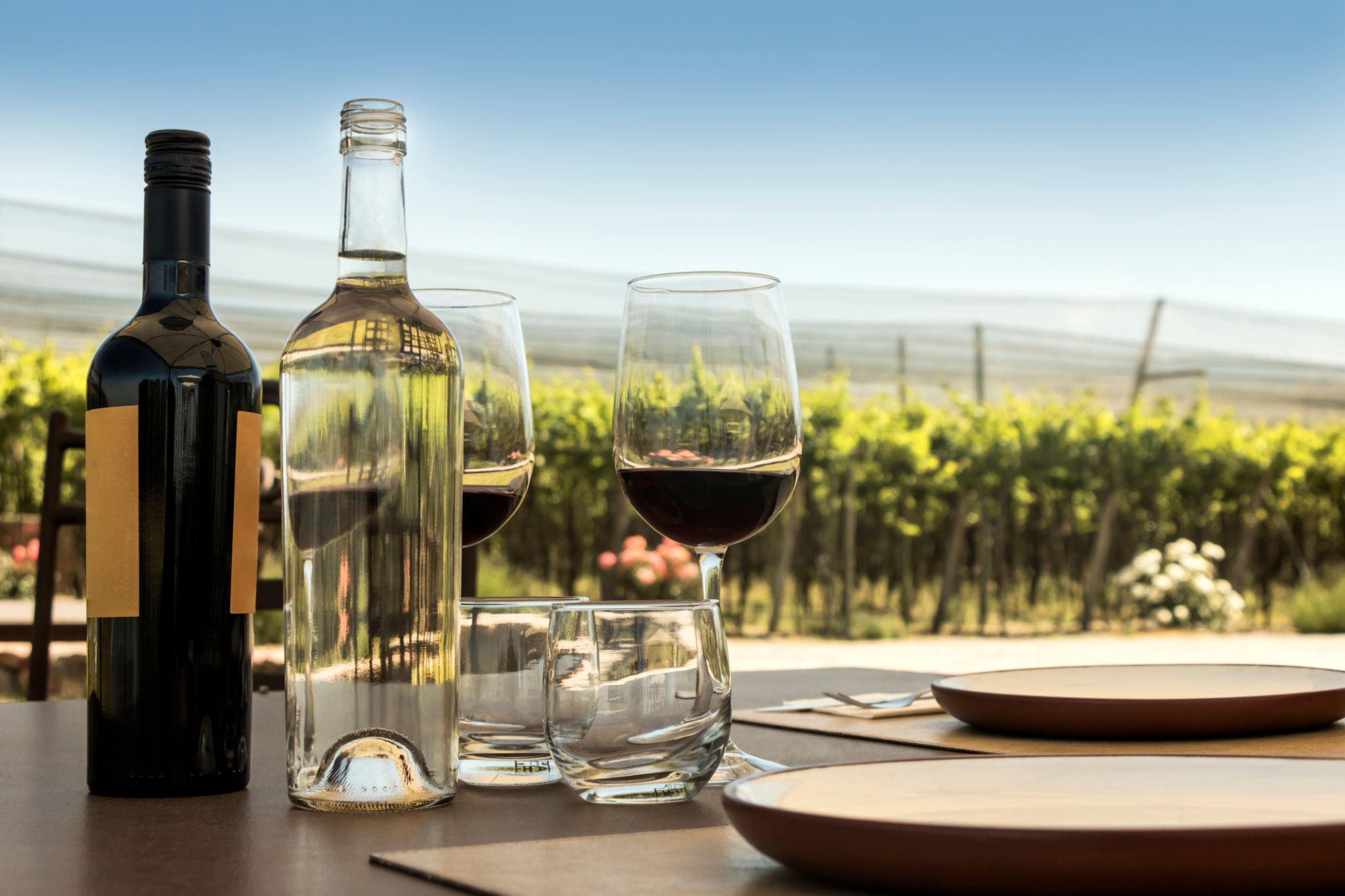 Wine Tourism Georgia Wine Tourism Georgia