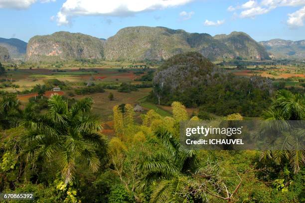 valley of vinales cuba - fonds de nuage 個照片及圖片檔