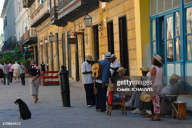 musicians old havana cuba - voie piétonne 個照片及圖片檔