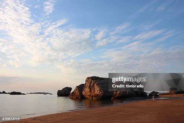 pink granite coast, tregastel, brittany, france - tregastel photos et images de collection