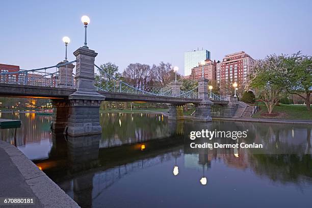 massachusetts, boston, bridge in boston public garden at dawn - boston public garden stock pictures, royalty-free photos & images