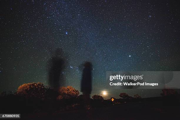 australia, outback, northern territory, red centre, west macdonnel ranges, kings canyon, trees in plain on starry night - kings canyon fotografías e imágenes de stock