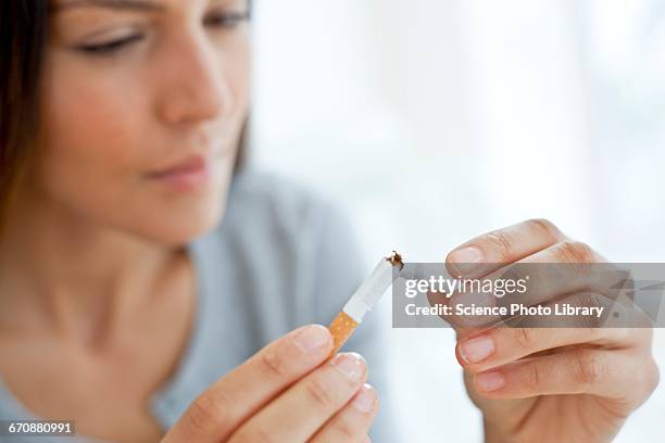 young woman breaking cigarette in half - breaking habits ストックフォトと画像