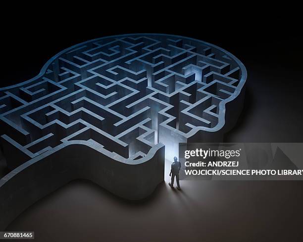 human head in shape of maze, illustration - alternative medicine stock-grafiken, -clipart, -cartoons und -symbole