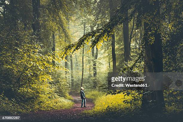 man on forest path - path into forest stock pictures, royalty-free photos & images