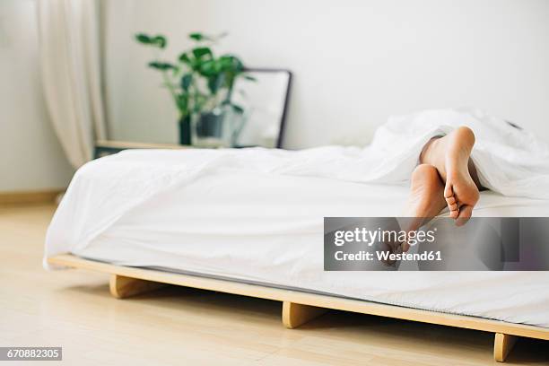 feet of woman lying in bed - feet in bed stock-fotos und bilder