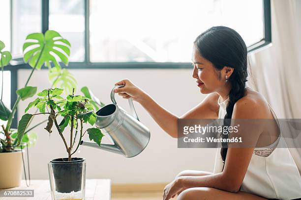 young woman at home watering plant - houseplant care stock pictures, royalty-free photos & images