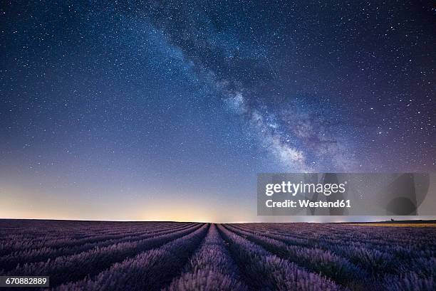 france, provence, lavender fields with milky way at night - ciel étoilé photos et images de collection