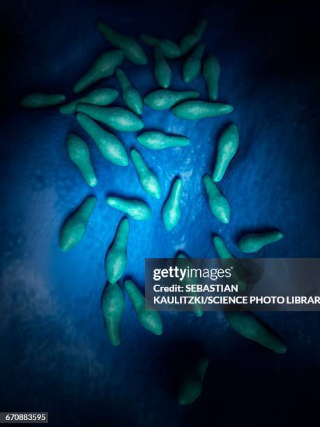 clostridium bacteria - bacillus cereus 幅插畫檔、美工圖案、卡通及圖標