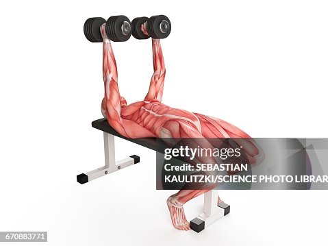 Man using hand weights Man using hand weights