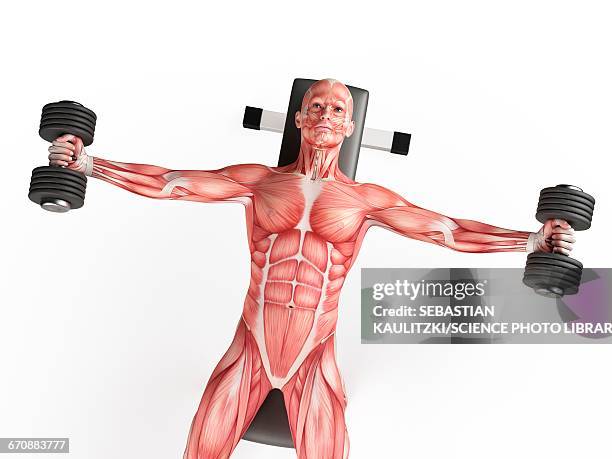 man using hand weights - hand weights stock illustrations