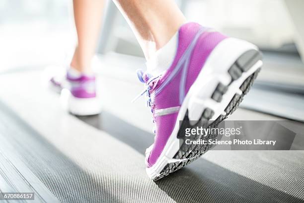 close-up of trainer - purple shoe 個照片及圖片檔