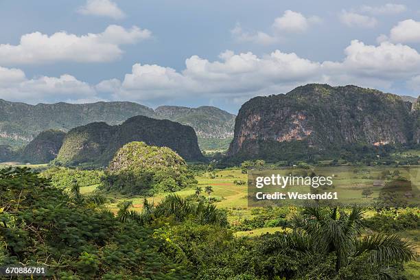 cuba, pinar del rio, sierra de los organos, valle de vinales - sierra de los organos stock pictures, royalty-free photos & images
