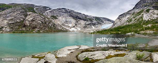 norway, sogn og fjordane, jostedalsbreen national park, nigardsbreen, glacier tongue - norway national day 2016 stock pictures, royalty-free photos & images